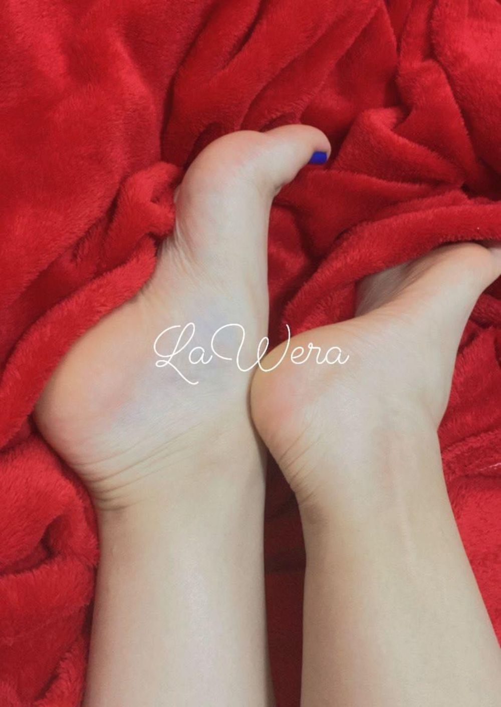 lawera04 OnlyFans profile picture