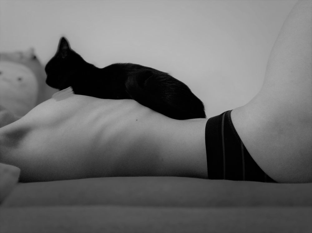 catandbones OnlyFans profile picture