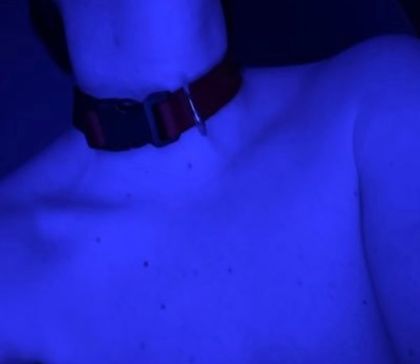 gayl1lpuppy OnlyFans picture