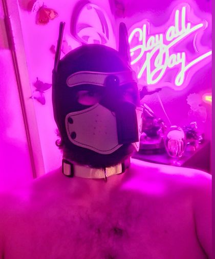 a_pup_named_beef OnlyFans picture