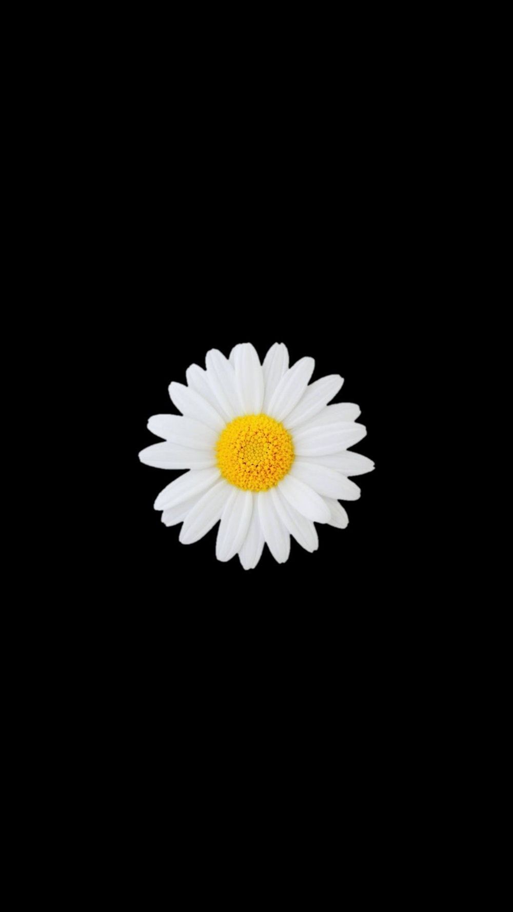 u148032664 OnlyFans profile picture
