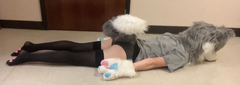 kantokit OnlyFans profile picture