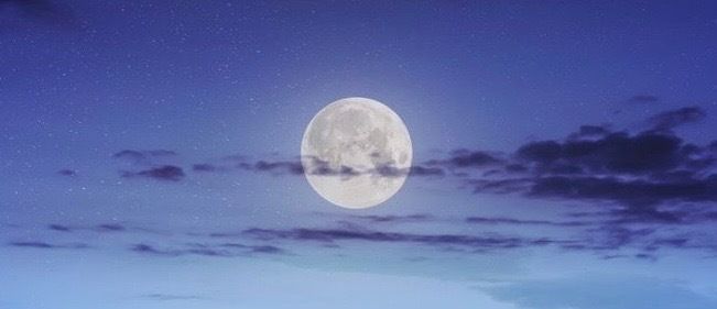 callsmemoonlight OnlyFans profile picture