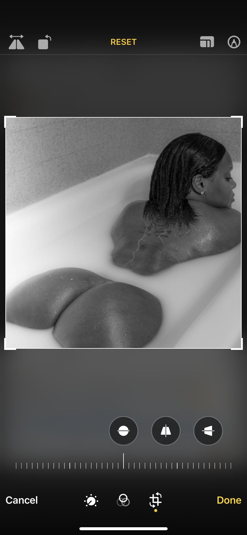 phoenixrosez OnlyFans profile picture