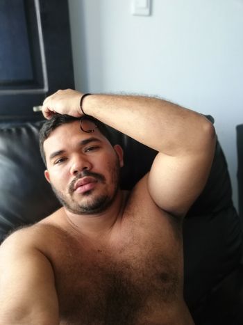 🐻🐻🐻