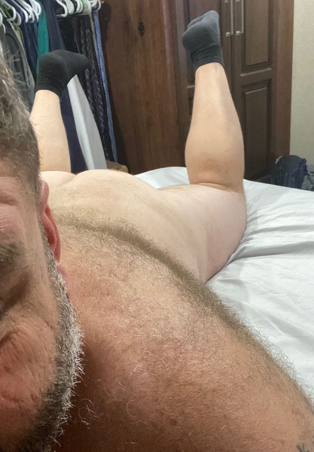 beardeddadbods OnlyFans profile picture