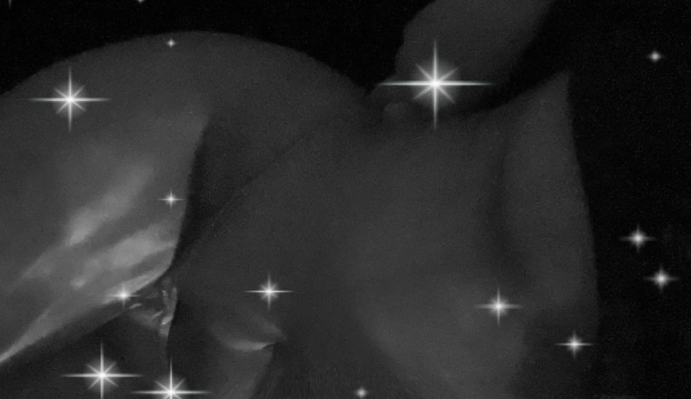 creepyghoul OnlyFans profile picture