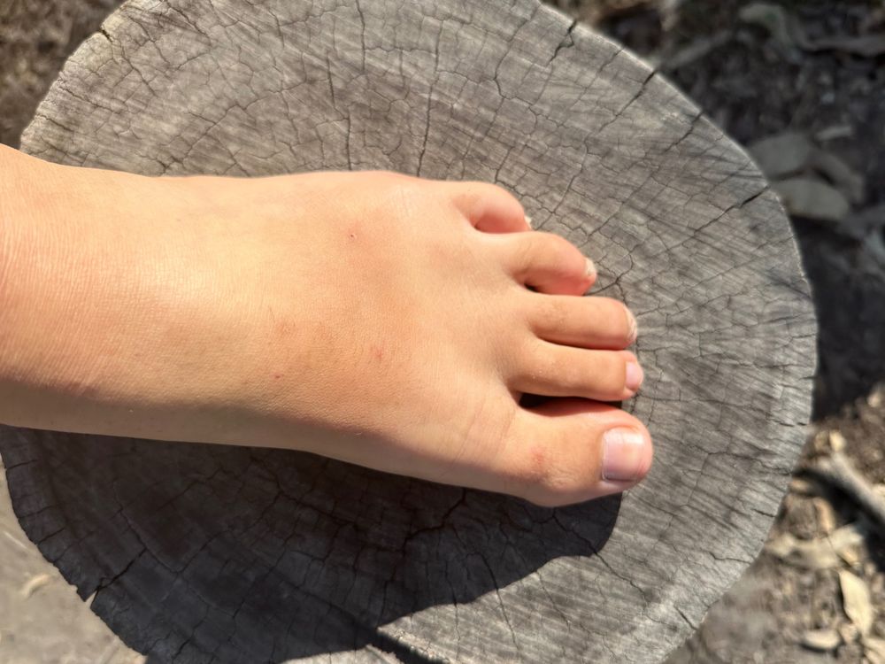 freakyfeetqueen OnlyFans profile picture