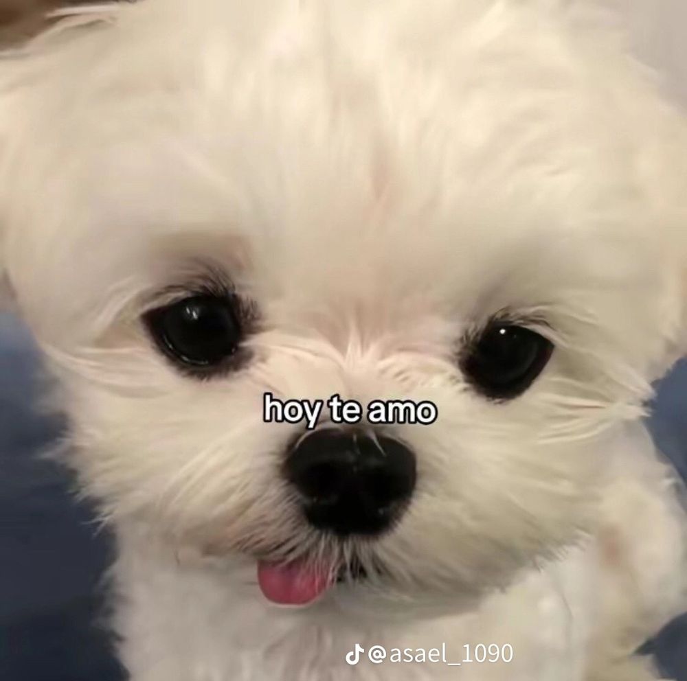 ealegria OnlyFans profile picture