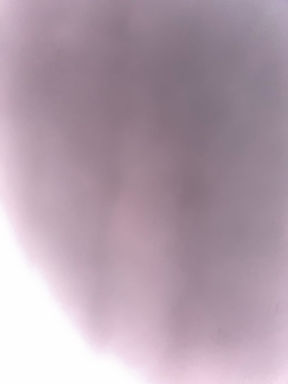 callmexbunny OnlyFans profile picture