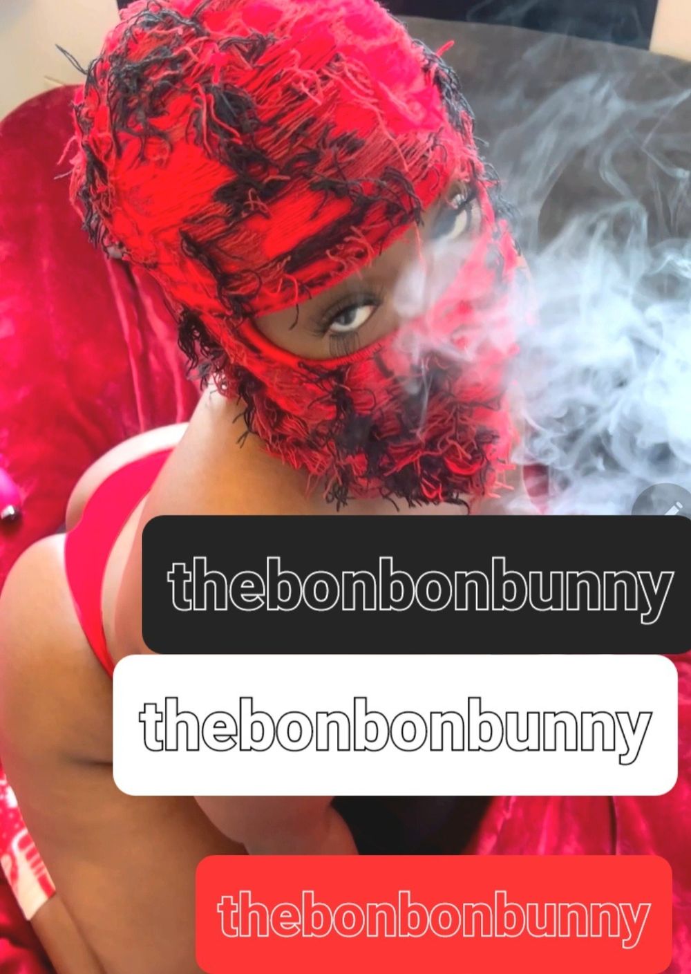 thebonbonbunny OnlyFans profile picture