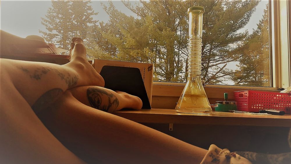 donnalanexxx OnlyFans profile picture