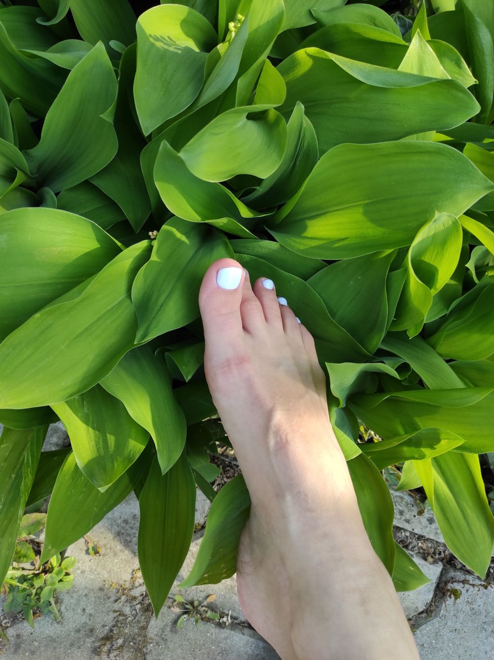 elentina OnlyFans profile picture