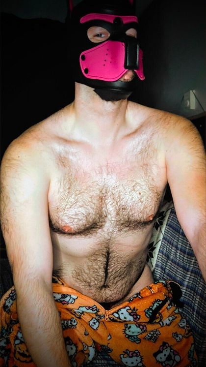 arch_pup OnlyFans picture