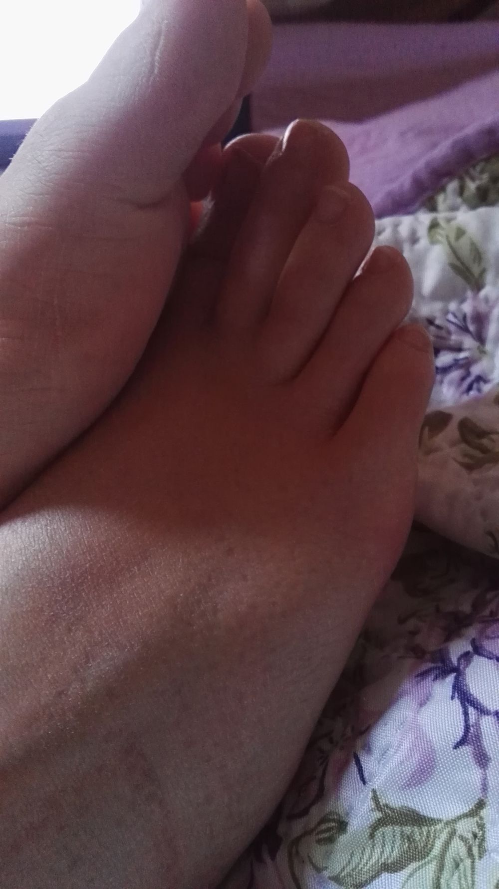 sophiezfeet OnlyFans profile picture