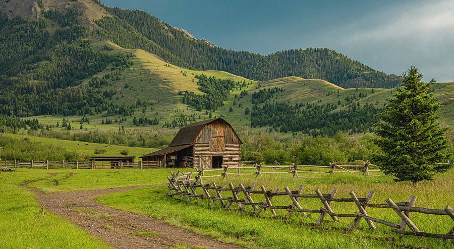 bigdaddy1975 OnlyFans profile picture