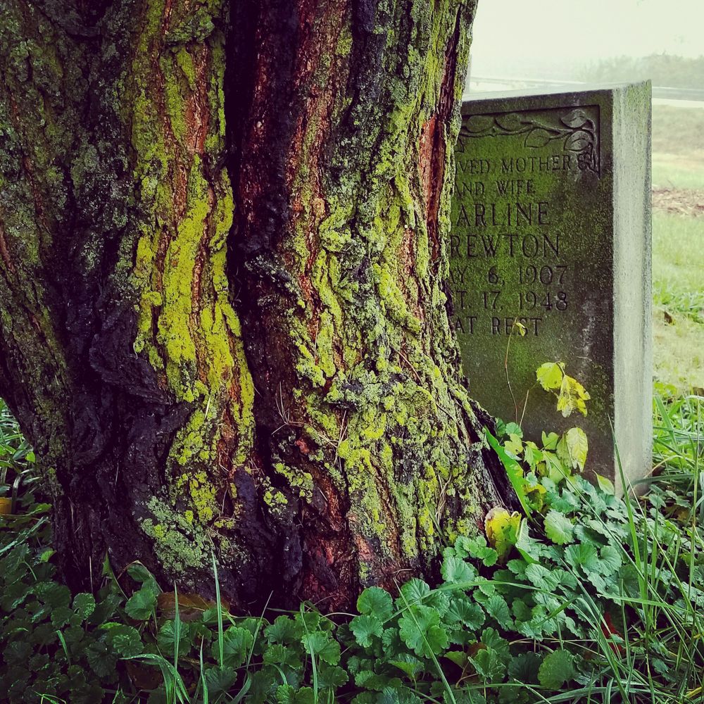 momento-mori OnlyFans profile picture