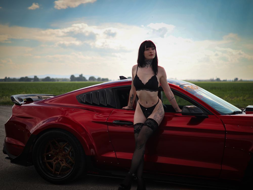 lexiehottyy OnlyFans profile picture