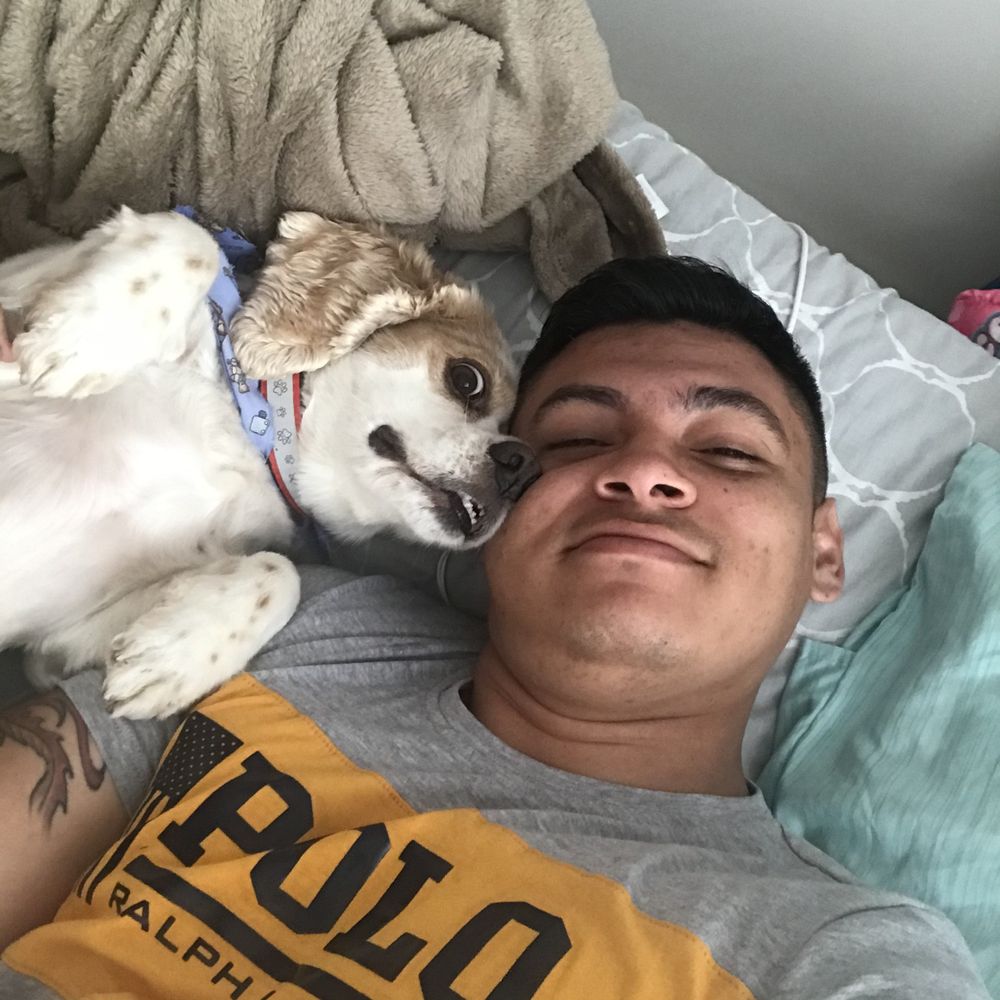 wilmertorres OnlyFans profile picture