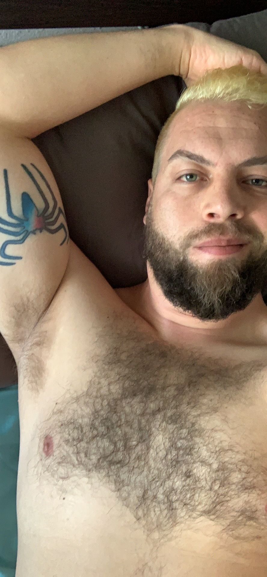 alwaysspiderman OnlyFans profile picture