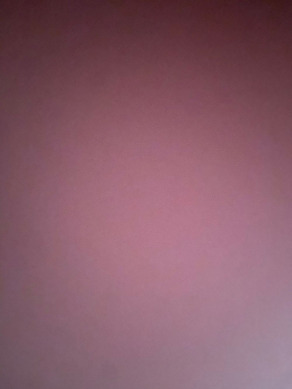 pussydestroier OnlyFans profile picture