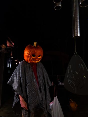 decaying-pumpkin OnlyFans - Free Trial - Photos - Socials | FansMetrics.com