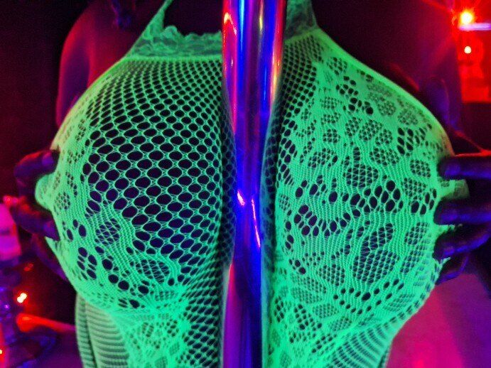 orchidthepet OnlyFans profile picture