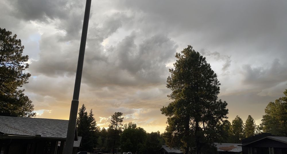 harley.hail OnlyFans - Free Trial - Photos - Socials | FansMetrics.com