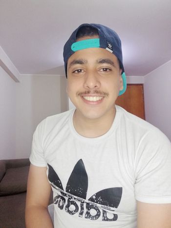 Luissilvaaa