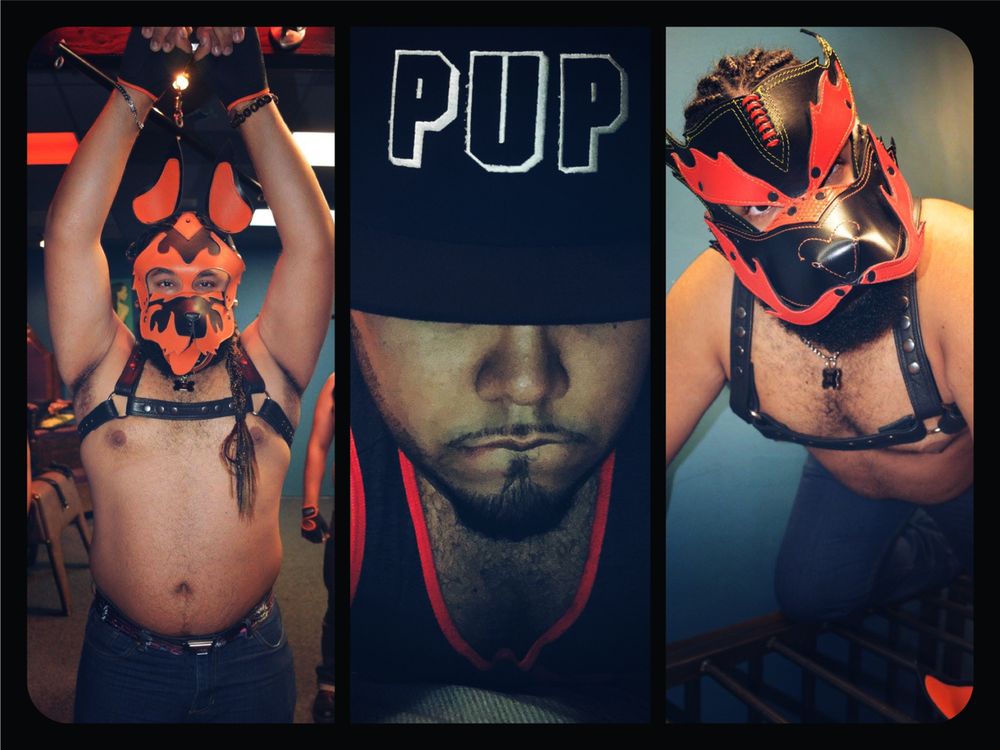 pup_panda OnlyFans profile picture