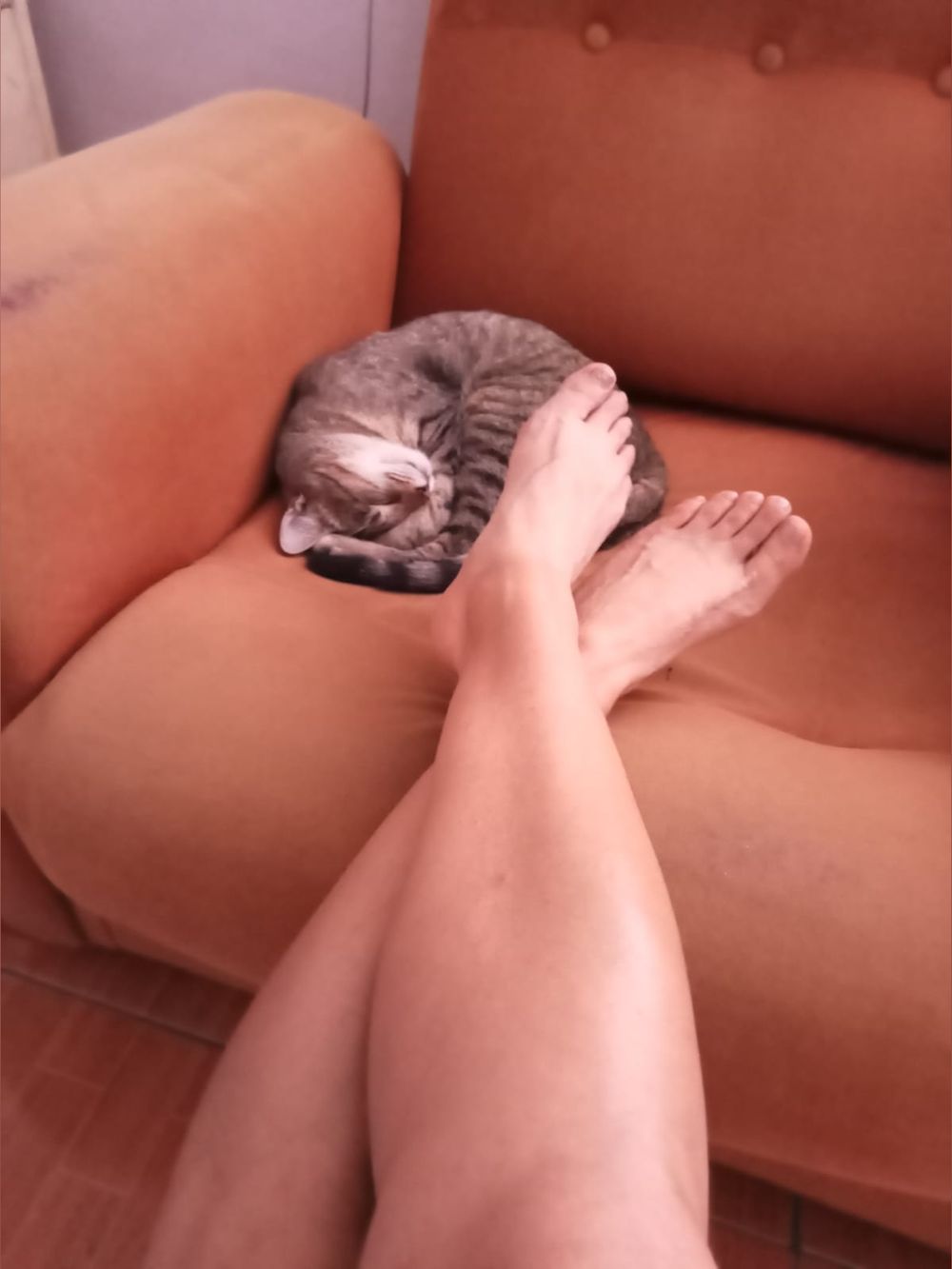 senoritabelo90 OnlyFans profile picture