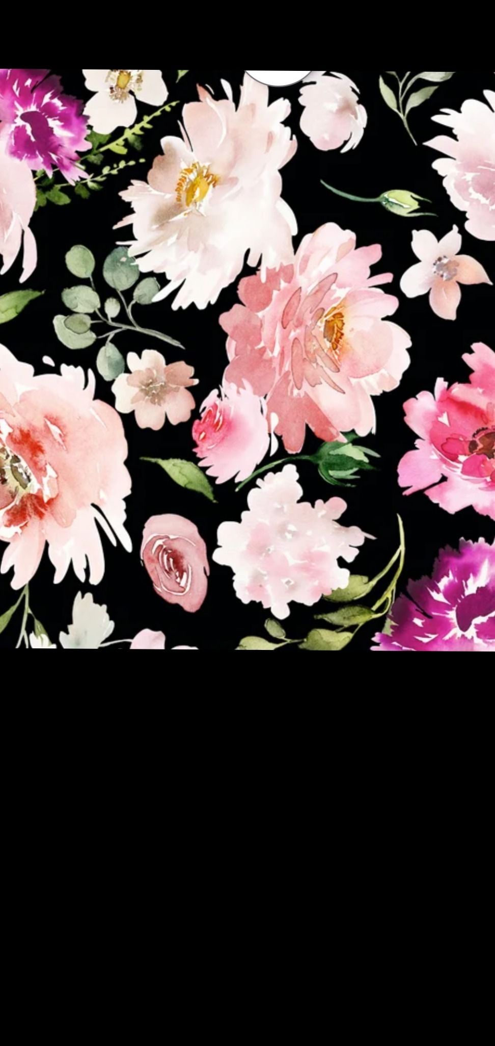 fiona_flower OnlyFans profile picture