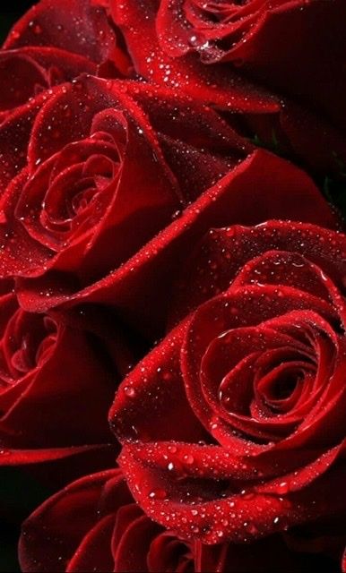 prettyred5150 OnlyFans profile picture