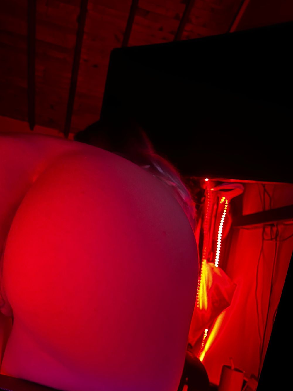 greenapplx OnlyFans profile picture