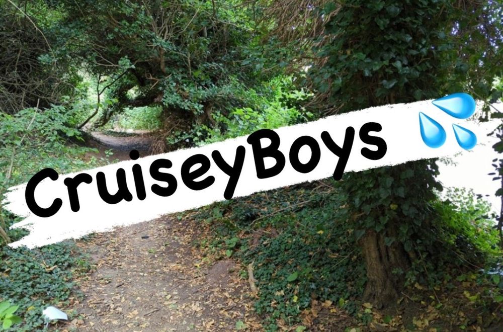 cruiseyboys OnlyFans profile picture