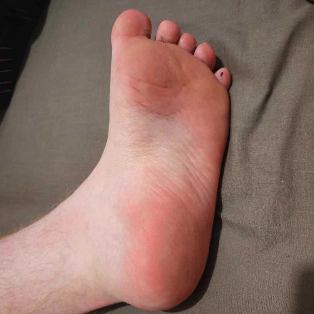 gingerlesbean OnlyFans profile picture