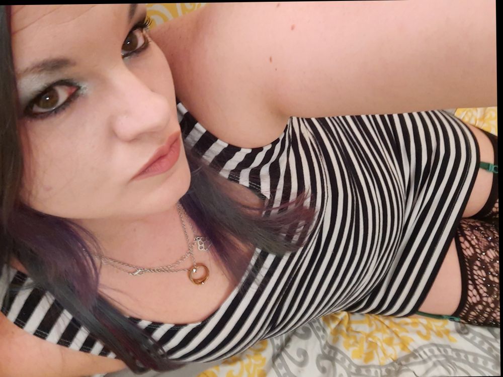 petshopgurl820 OnlyFans profile picture