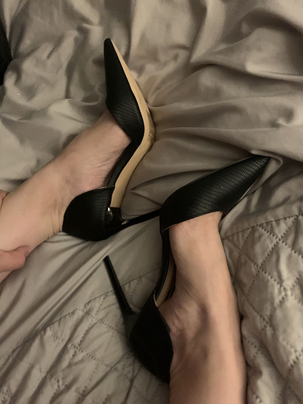 dreamfeet3 OnlyFans profile picture