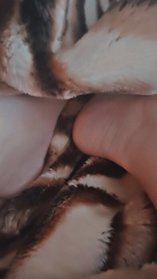 feetyunicorn OnlyFans profile picture