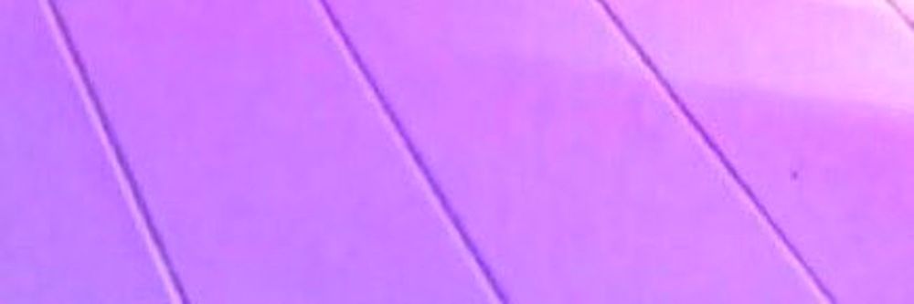 dangerrlove OnlyFans profile picture