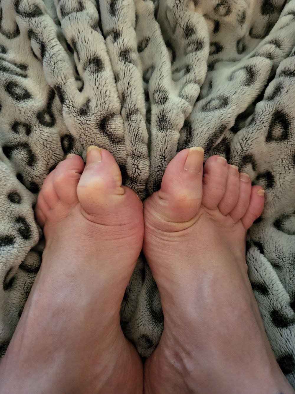 robotkneesandtoes OnlyFans profile picture