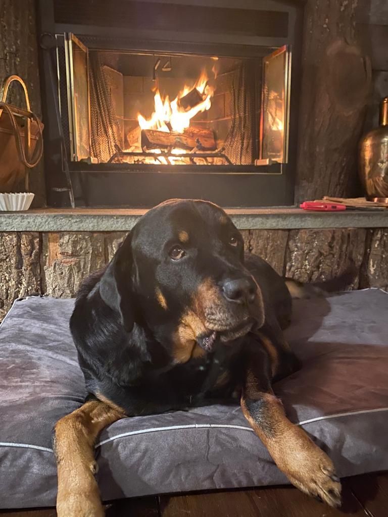 senatorbanjo OnlyFans profile picture
