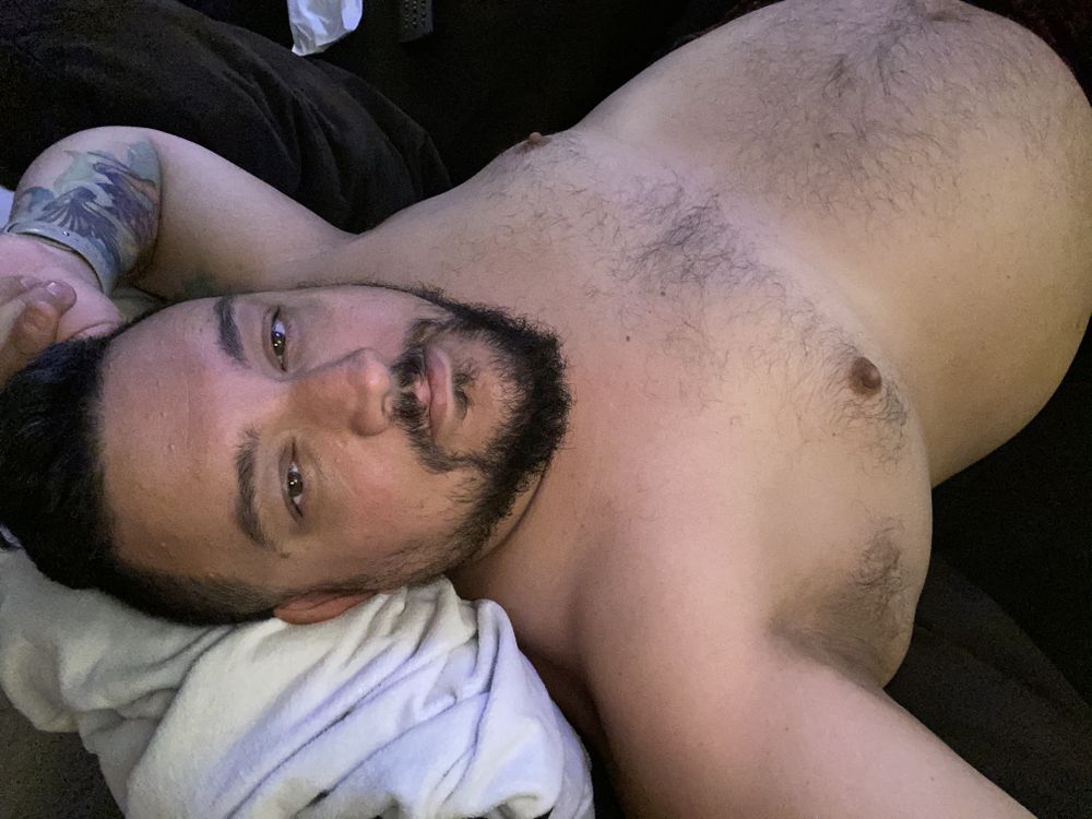 bumblebearwuzl OnlyFans profile picture