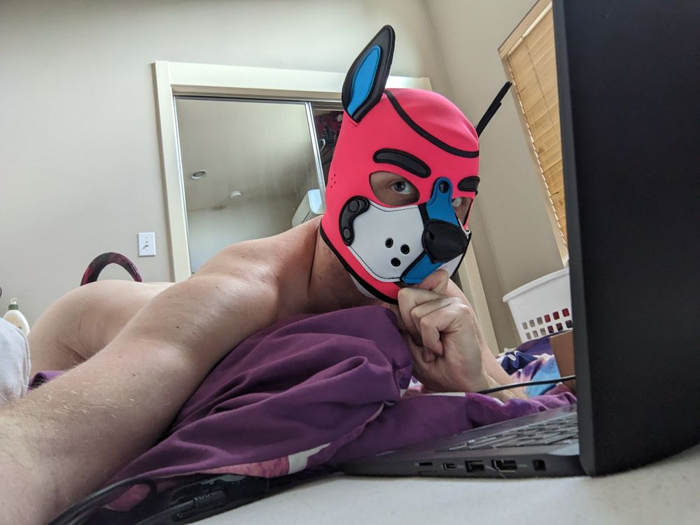 pupbramble OnlyFans profile picture