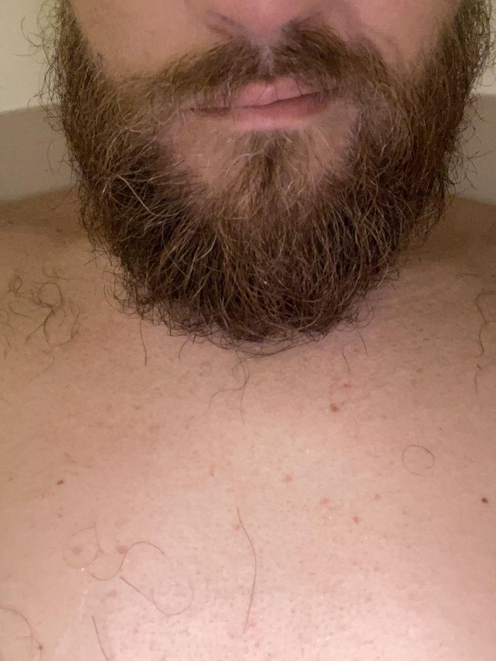 guyfrom417 OnlyFans profile picture