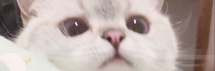 aileney OnlyFans profile picture