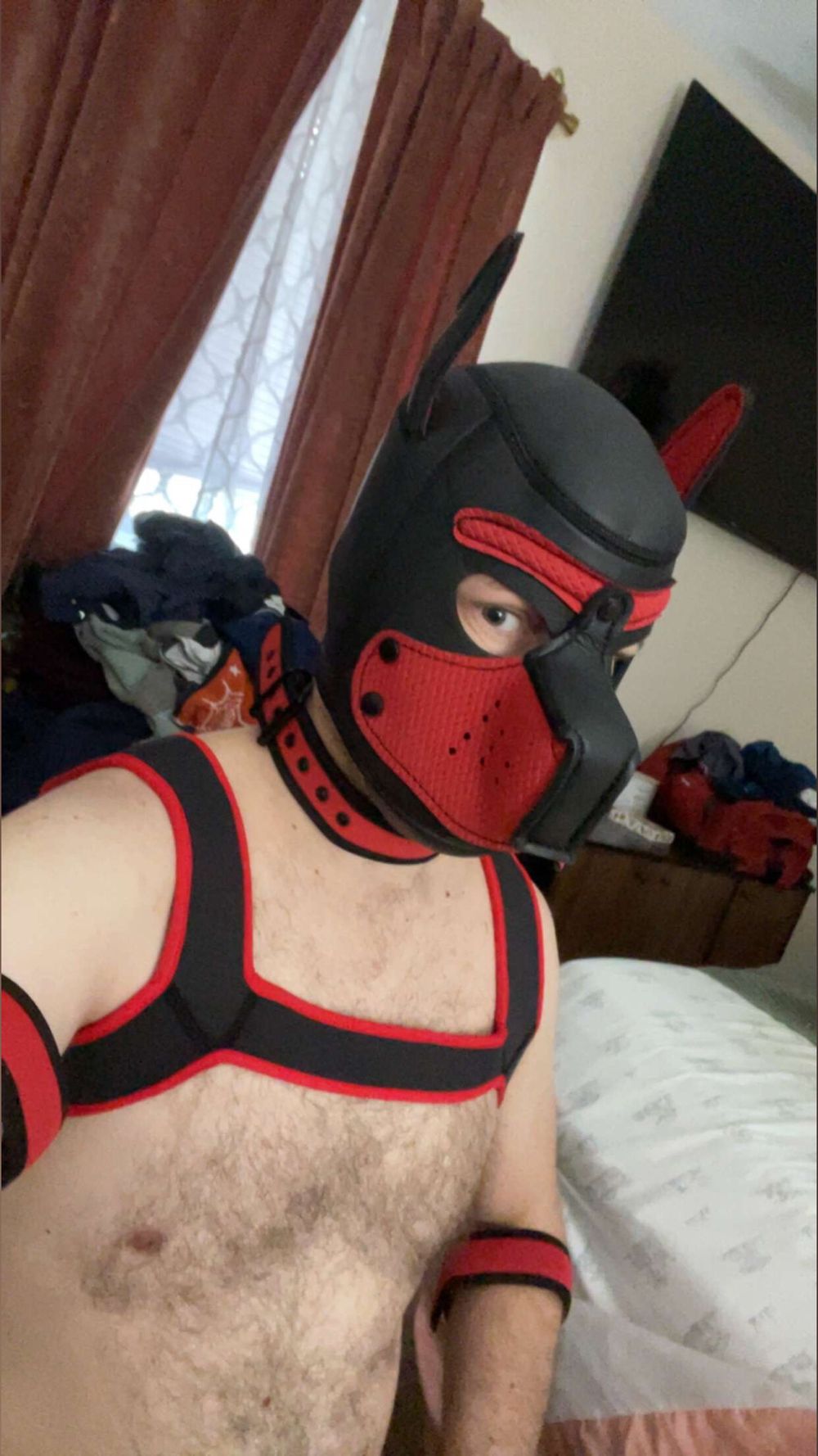 da32_45 OnlyFans profile picture