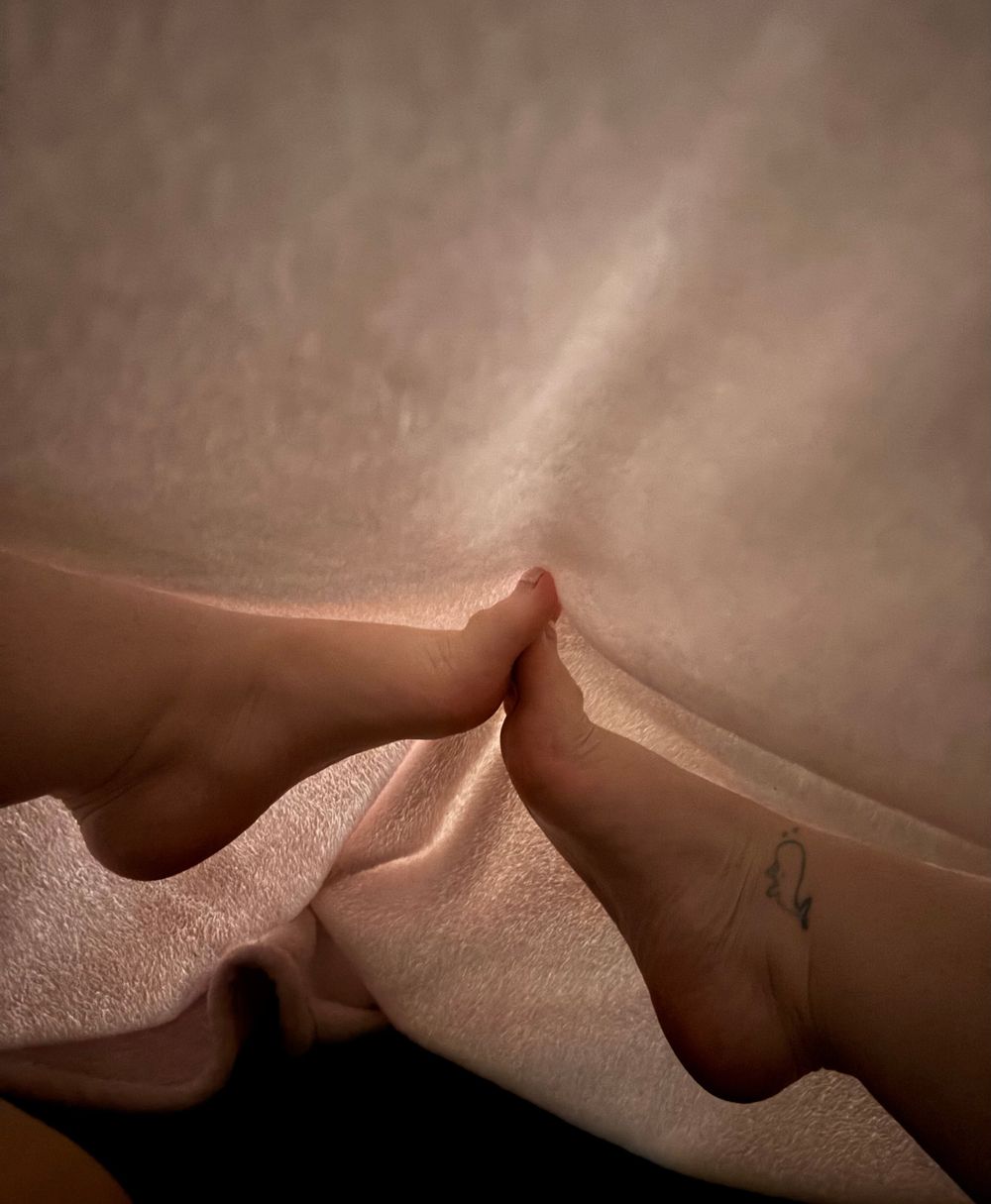 toe-company OnlyFans profile picture