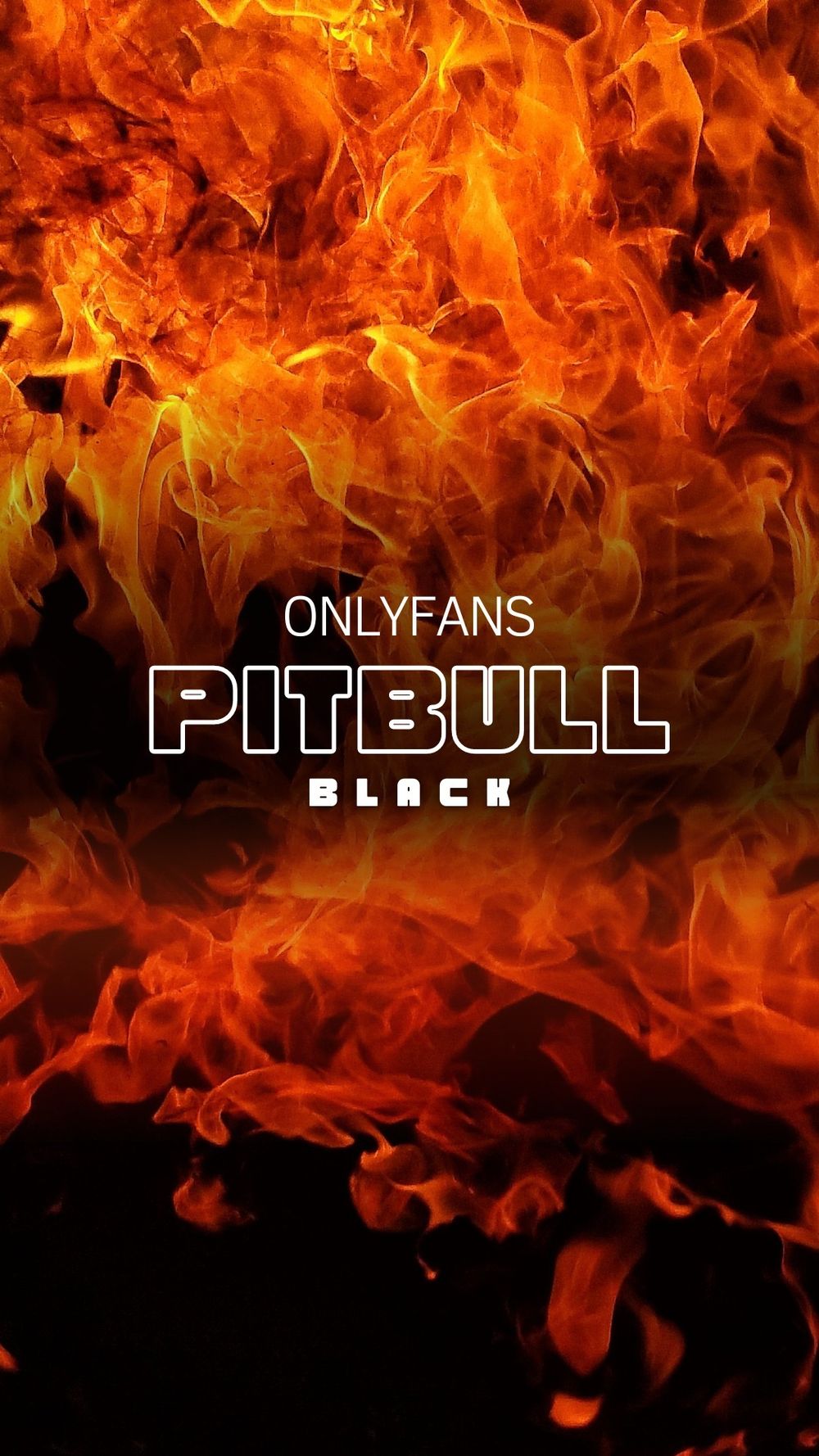 blackpitbull OnlyFans profile picture