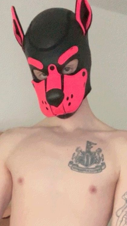 yeeniepuppy OnlyFans picture